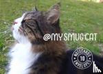 Tom Cox - My Smug Cat Notecards - 10 Cards and Envelopes
