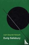 Salisbury, Eurig - Llyfr Gwyrdd Ystwyth
