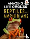 Allan, John - Reptiles and Amphibians - Amazing Life Cycles