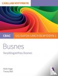 Mark Hage, Tracey Bell, Cerys Jones - Cbac Canllaw Myfyrwyr: Busnes - Swyddogaethau Busnes