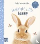 Wood, Amanda - Goodnight, Little Bunny