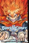 Tabata, Yuki - Black Clover, Vol. 15 - The Victors
