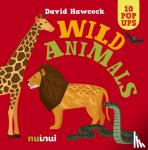  - 10 Pop Ups - Wild Animals