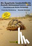 Biedenweg, Franziska, Schramm, Ricarda - Die Ägyptische Landschildkröte Testudo kleinmanni LORTET, 1883 - Faszinierende kleine Schönheit