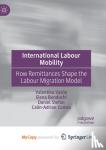 Valentina Vasile, Vasile, Elena Bunduchi, Bunduchi, Daniel Stefan, Stefan - International Labour Mobility - How Remittances Shape the Labour Migration Model