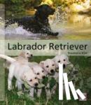 Wild, Rosemarie - Labrador Retriever - Das große Rassehandbuch