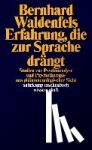 Waldenfels, Bernhard - Erfahrung, die zur Sprache drängt - Studien zur Psychoanalyse und Psychotherapie aus ph?nomenologischer Sicht