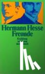 Hesse, Hermann - Freunde