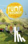 Blyton, Enid - Fünf Freunde als Retter in der Not
