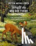 Wohlleben, Peter - Weißt du, wo die Tiere wohnen?