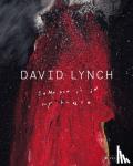  - David Lynch - Someone Is in My House