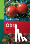 Fischer, Manfred, Albrecht, Hans J., Geibel, Martin - Taschenatlas Obst