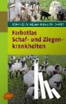 Winkelmann, Johannes, Ganter, Martin - Farbatlas Schaf- und Ziegenkrankheiten