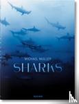 Nelson, Arty, Kock, Dr. Alison, Cousteau, Jr., Philippe - Michael Muller. Sharks - Face-to-Face with the Ocean's Endangered Predator