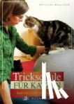Hauschild, Christine - Trickschule für Katzen - Spaß mit Clicker und Köpfchen