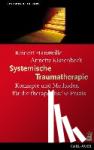 Hanswille, Reinert, Kissenbeck, Anette - Systemische Traumatherapie - Konzepte und Methoden für die Praxis