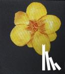 Enwezor, Okwui - Jörg Immendorff: For All Beloved In The World - Ausst. Kat. Haus der Kunst, München 2018/19 Reina Sofia, Madrid 2019