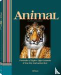 Lucasson, Tein - Animal - Portraits of 88 Animals & One Shy Enchanted Boy