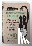 Enders, Giulia - Ocharovatel'nyj kishechnik. Kak samyj mogushhestvennyj organ upravljaet nami