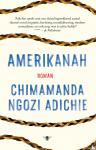 Adichie, Chimamanda Ngozi - Amerikanah