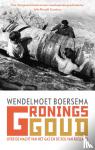 Boersema, Wendelmoet - Gronings goud - Over de macht van het gas en de rol van Rusland