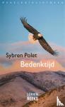 Polet, Sybren - Bedenktijd - een mozaiek