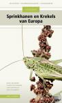 Bellmann, Heiko, Rutschmann, Florin, Roesti, Christian, Hochkirch, Axel - Veldgids Sprinkhanen en krekels van Europa - 300 soorten - verspreidingskaarten - veldkenmerken