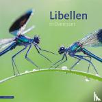 Ruiter, Evert, Mulder-Milderij, Gabi, Bunskoek, Martijn, Huizinga, Alex - Libellen in Overijssel - Met briljante foto's van Alex Huizinga