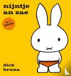 Bruna, Dick - nijntje an zae in ’t katteks  