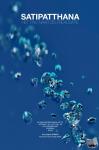 Dubois, Guy Eugène - Satipatthana - Het Pad naar Zelfrealisatie
