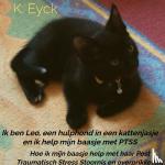 Eyck, K. - Ik ben Leo, een hulphond in een kattenjasje en ik help mijn baasje met PTSS - Hoe ik mijn baasje help met haar Post Traumatisch Stress Stoornis en overprikkeling
