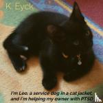 Eyck, K. - I'm Leo, a service dog in a cat jacket, and I'm helping my owner with PTSD - How I help my owner with her Post Traumatic Stress Disorder, and Overstimulation
