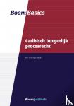 Lock, F.J.P. - Boom Basics Caribisch burgerlijk procesrecht