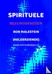 Malestein, Paragnost Ron - Spirituele bijzonderheden - door de ogen van een helderziende bekeken