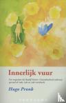 Pronk, Hugo - Innerlijk vuur - een wegwijzer bij Rudolf Steiner, gezondmakend onderwijs, speciaal de 10de, 11de en 12de voordracht