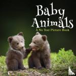 Happiness, Lasting - Baby Animals, A No Text Picture Book