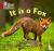 It is a Fox - Band 02b/Red B