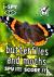 i-SPY Butterflies and Moths...