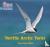 Terrific Arctic Terns - Pha...