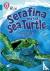 Serafina and the Sea Turtle...