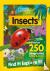 Insects Find it! Explore it...