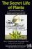 The Secret Life of Plants -...