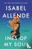 Ines of My Soul - A Novel