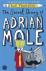 The Secret Diary of Adrian ...