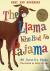The Llama Who Had No Pajama...