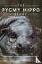 The Pygmy Hippo Story - Wes...