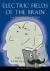 Electric Fields of the Brai...