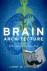 Brain Architecture - Unders...