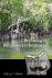 The Biology of Mangroves an...