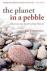 The Planet in a Pebble - A ...